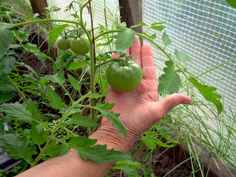 Similar image 21895099