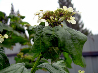 Similar image 21895100