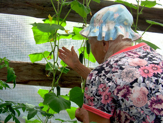 Similar image 21895101