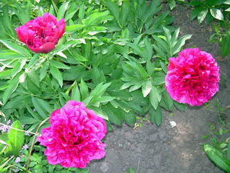 Similar image 21895104