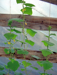 Similar image 21895106