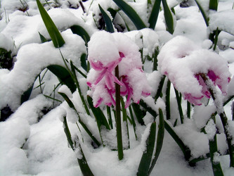 Similar image 21895107