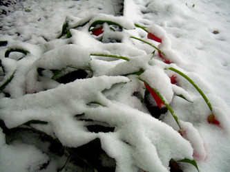 Similar image 21895109