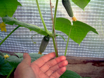 Similar image 21895110