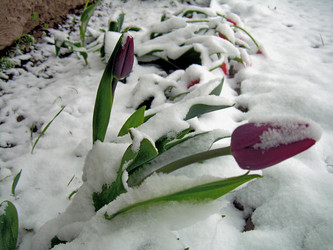 Similar image 21895111