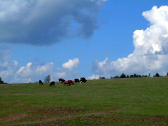 Similar image 21895112