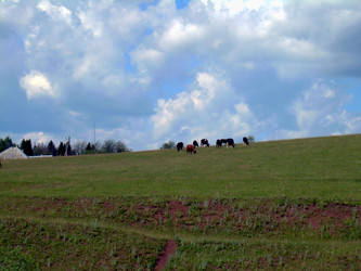 Similar image 21895113