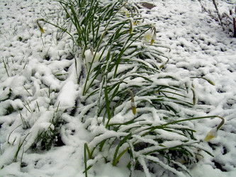 Similar image 21895114