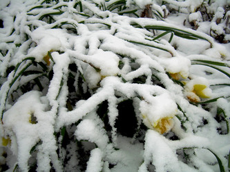 Similar image 21895115