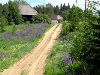 Similar image 21895116