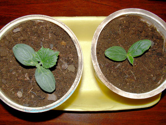 Similar image 21895117