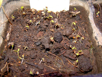 Similar image 21895118