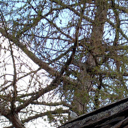 Similar image 21895119