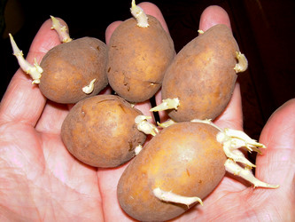 Similar image 21895120