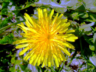 Similar image 21895122