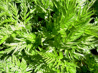 Similar image 21895123