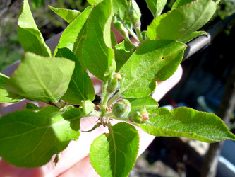 Similar image 21895124