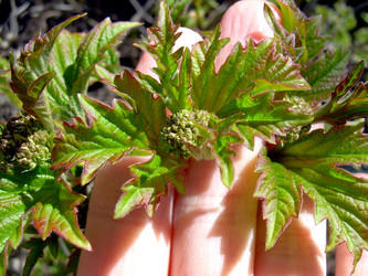 Similar image 21895125