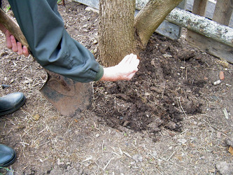 Similar image 21895126