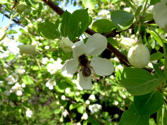 Similar image 21895130