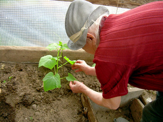 Similar image 21895131