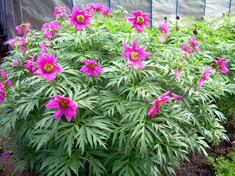 Similar image 21895133