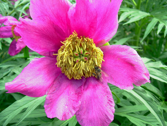 Similar image 21895134