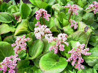 Similar image 21895135