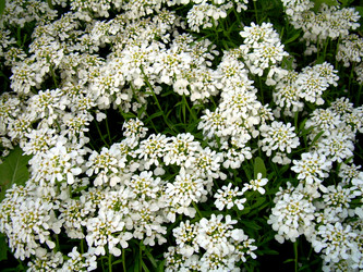 Similar image 21895136