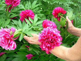 Similar image 21895137