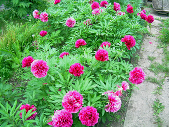 Similar image 21895138