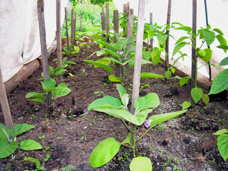 Similar image 21895139