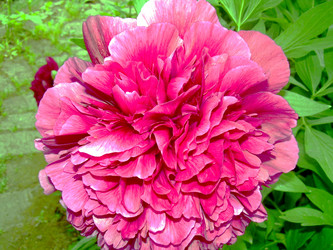 Similar image 21895140