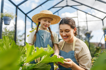 Similar image 21903240