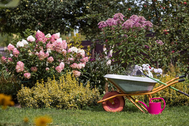 Similar image 21902200