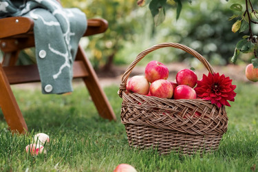 Similar image 21902203