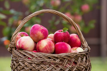 Similar image 21902205