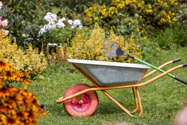 Similar image 21902208