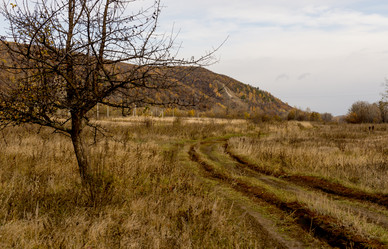 Similar image 21895148