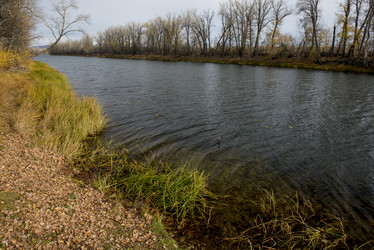 Similar image 21895152