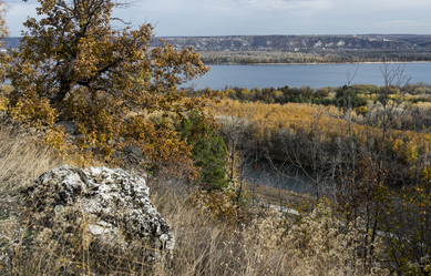 Similar image 21895156