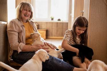 Similar image 21897056