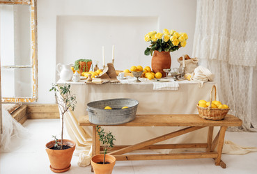 Similar image 21897059