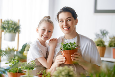 Similar image 21903286