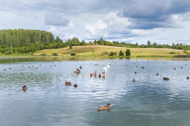 Similar image 21895507