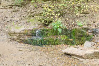 Similar image 21895510