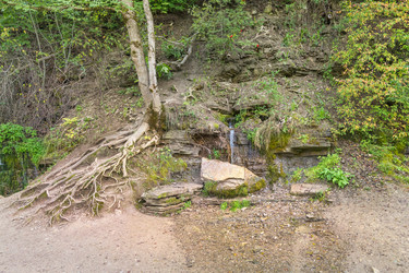 Similar image 21895514