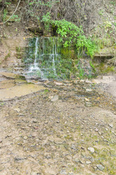 Similar image 21895515