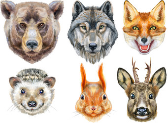 Similar image 21896661