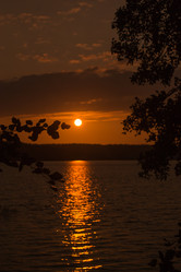 Similar image 21894953